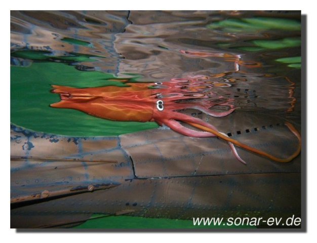 023-bild023