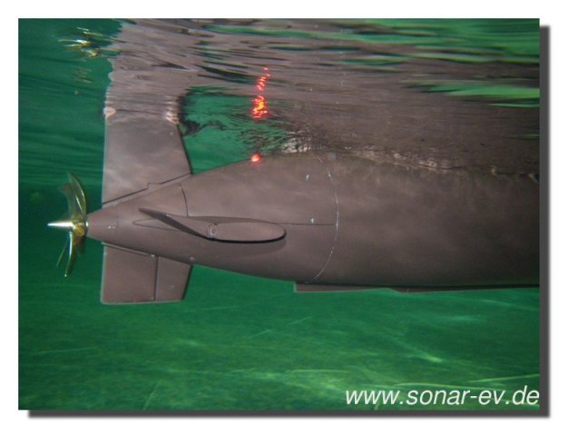 037-bild037