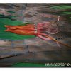 023-bild023