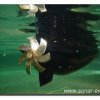 033-bild033