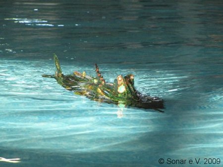 friedrichshafen09_026