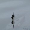 friedrichshafen09_028