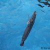 kl_09_112