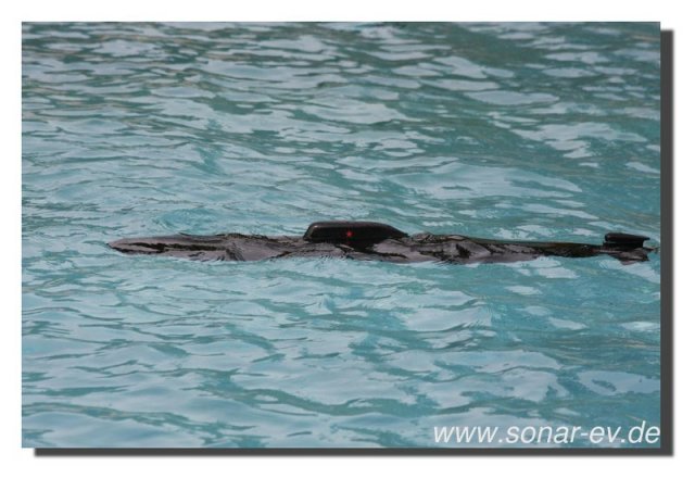 007-bild012