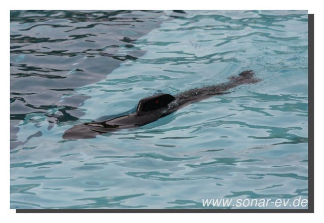 008-bild013