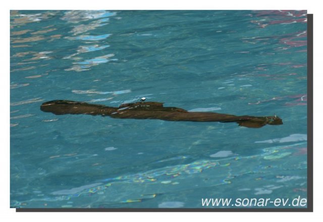 024-bild029
