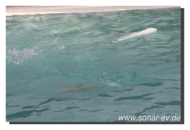 030-bild035
