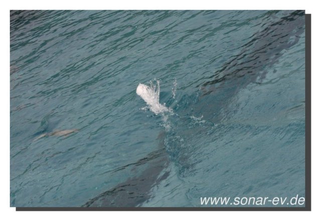 032-bild037