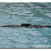 007-bild012