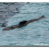 008-bild013