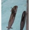 009-bild014