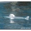 023-bild028