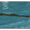 024-bild029