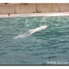 028-bild033