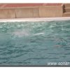 029-bild034