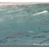 030-bild035