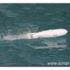 031-bild036