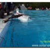 013-bild019