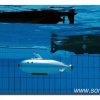 024-bild034