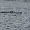 Biblis
