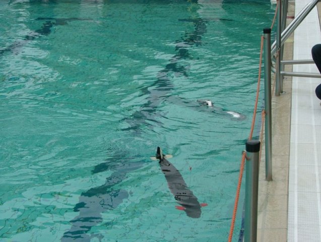 019-WI_2010_5