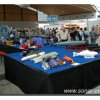 008-bild008