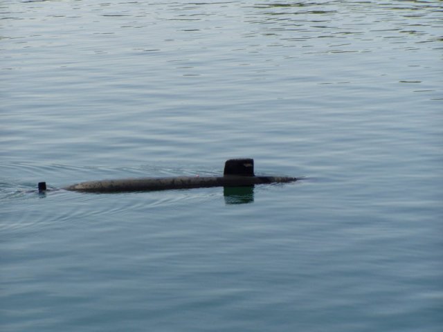 000-P1010004