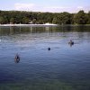 042-PICT0001
