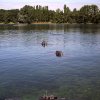 044-PICT0003
