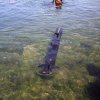 052-PICT0030