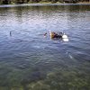 057-PICT0042
