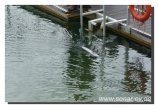 002-bild002.jpeg.small