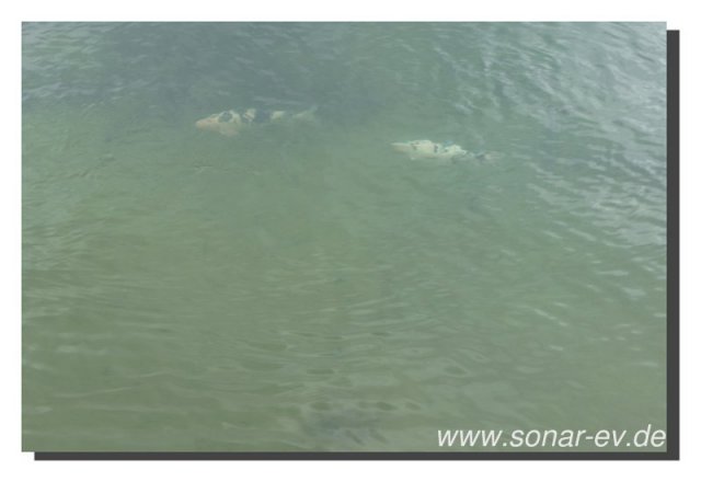 049-bild049