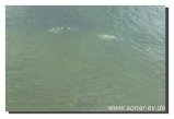 049-bild049.jpeg.small