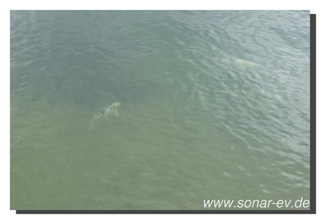 050-bild050