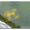 016-bild016