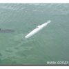 018-bild018