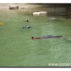 021-bild021