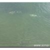 049-bild049