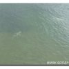 050-bild050