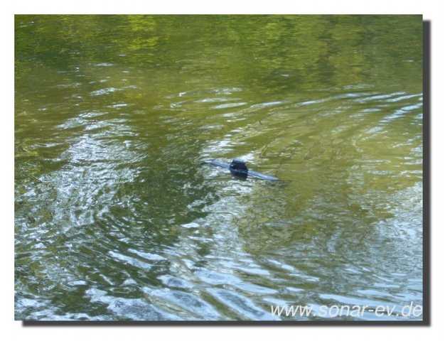 Edersee2011_2001