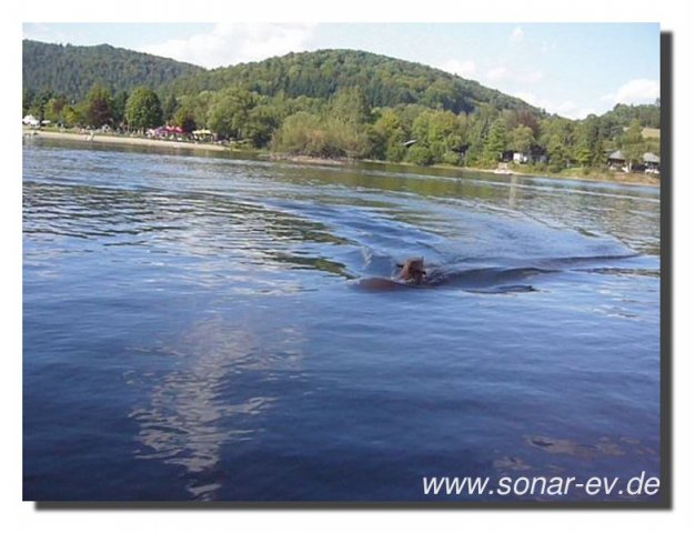 Edersee2011_2003