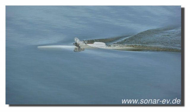 Edersee2011_2037