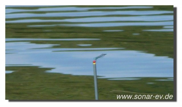 Edersee2011_2039