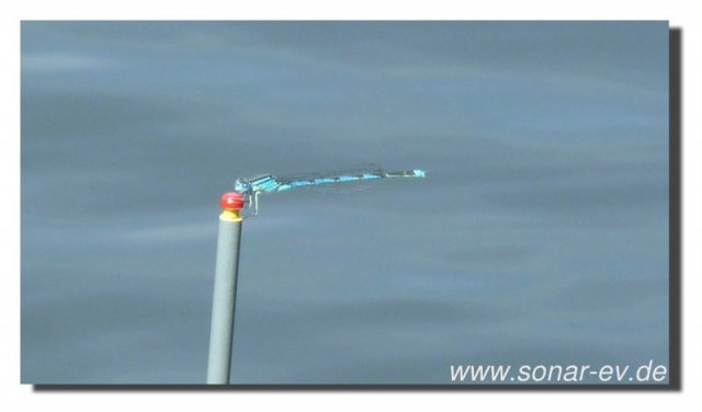 Edersee2011_2042