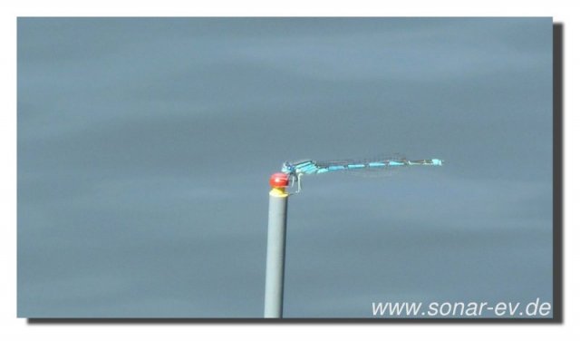 Edersee2011_2043