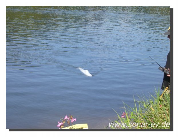 edersee2011_054