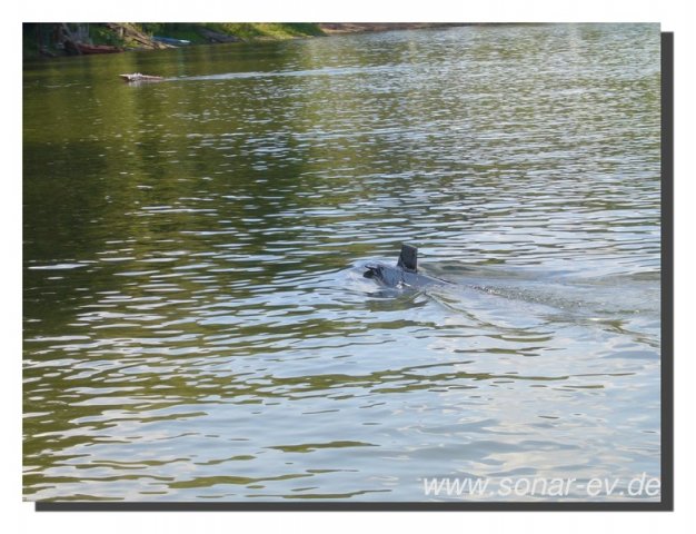 edersee2011_071