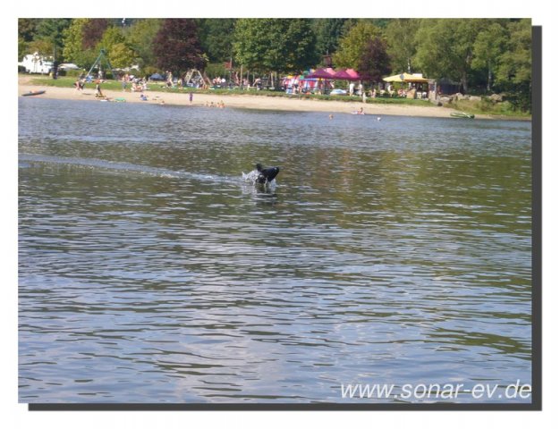 edersee2011_072