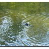 Edersee2011_2001